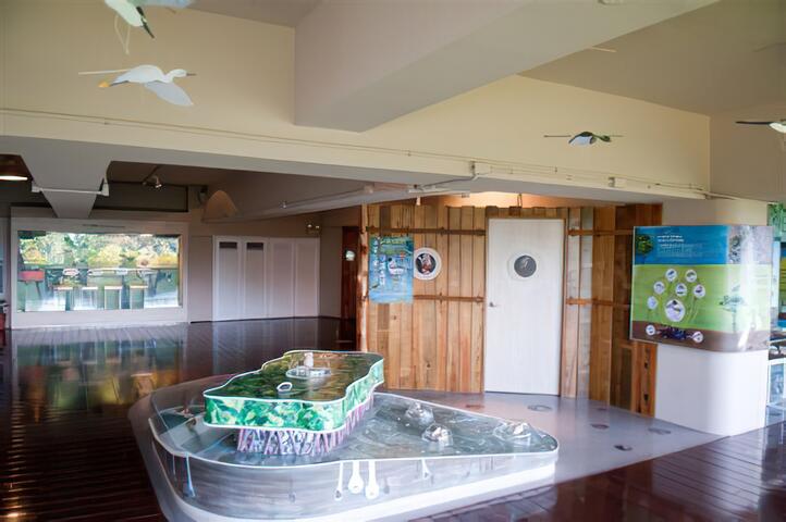 紅樹林生態教育館