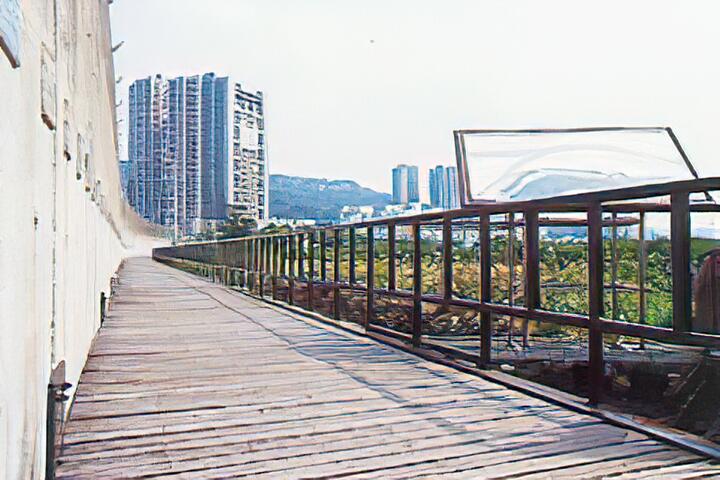 金色水岸自行車道