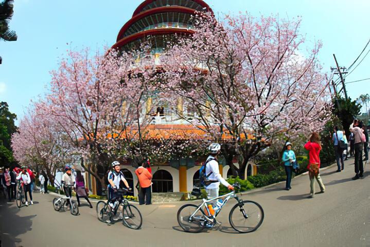 無極真元天壇(天元宮)