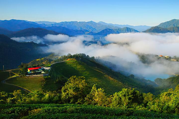 金瓜寮茶香生態村