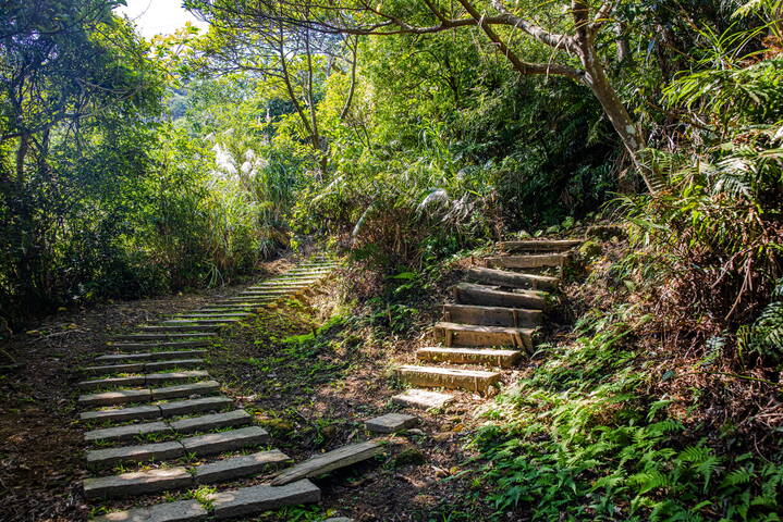 烘爐地登山步道