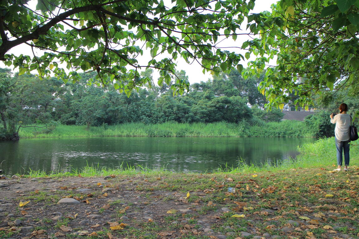 鹿角溪人工湿地远景