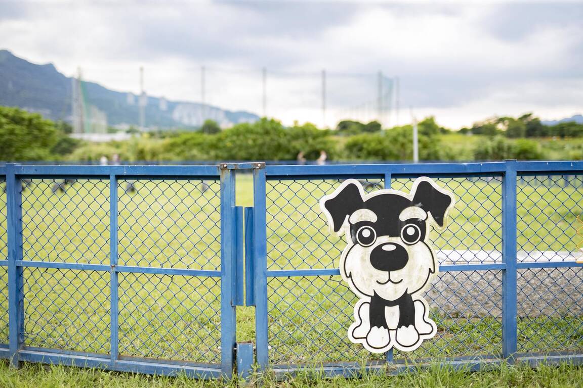 毛小孩的放風樂園--新店親情寵物公園