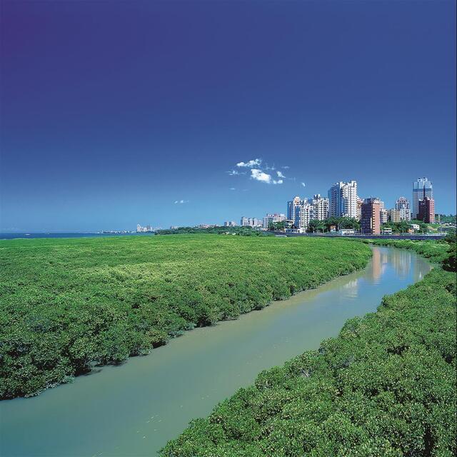 紅樹林自然保留區