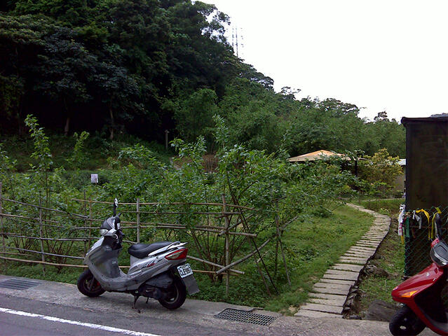 大崎嶺登山步道