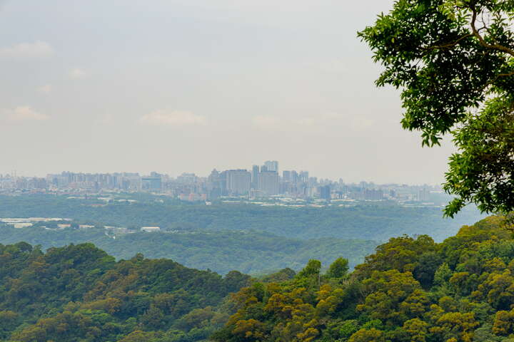 觀音山林梢步道