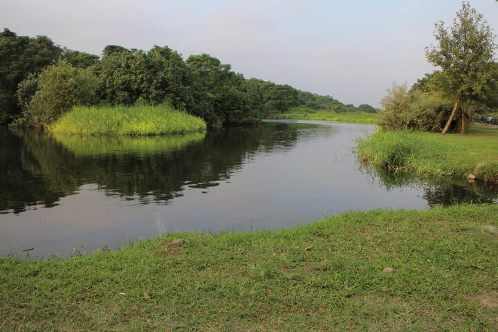 鹿角溪人工濕地
