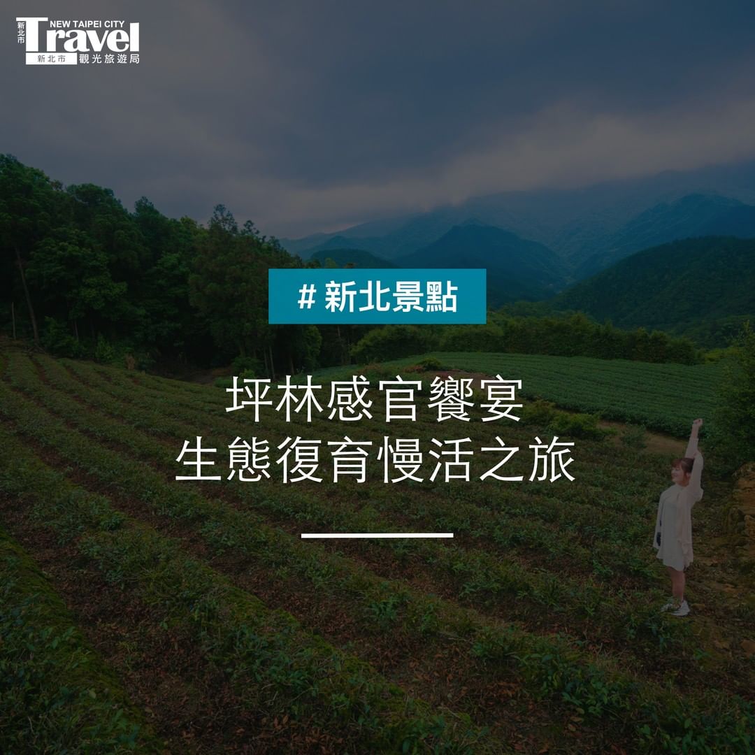 坪林可以這樣玩～用視覺味覺享受慢活之旅！