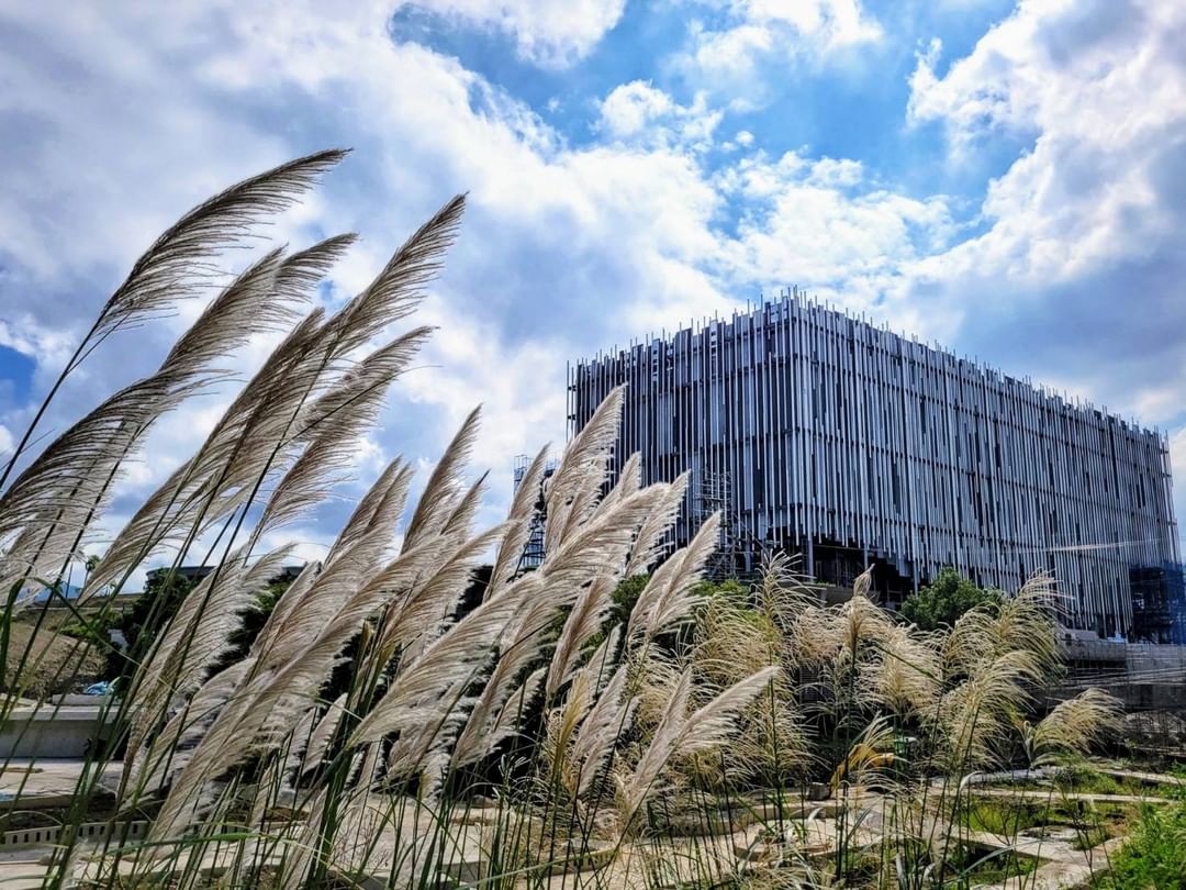 #鶯歌藝術季 今天起登場～