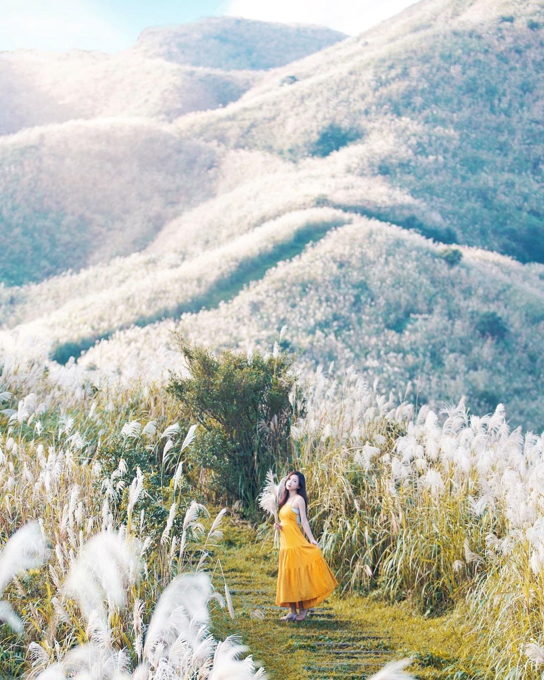 太像仙境了！白茫茫秋冬美景！