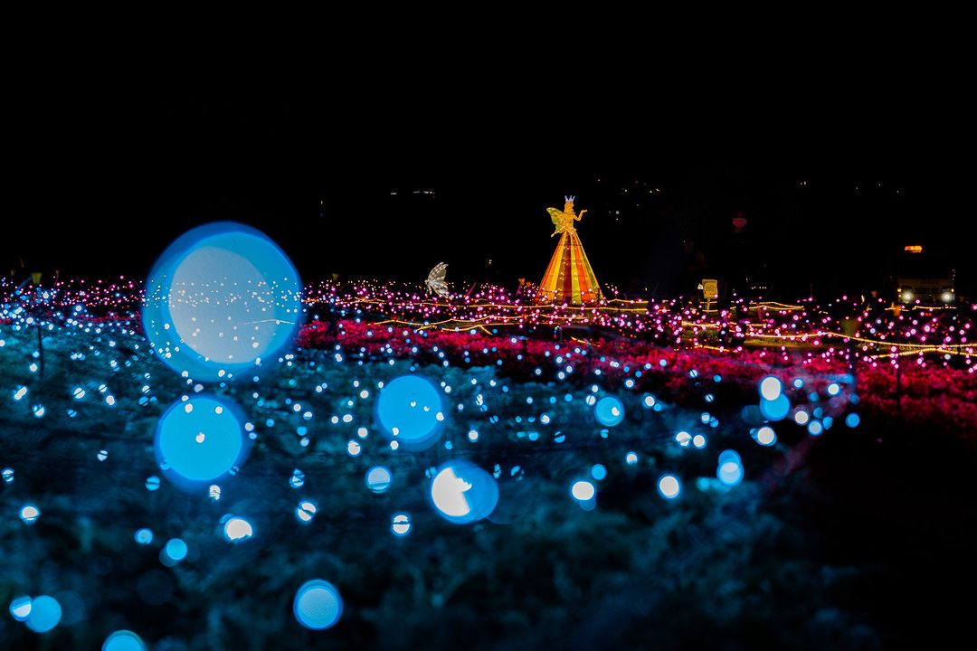 #板橋蝴蝶公園 #打卡新點 📣本周六開展！白天賞花🌹晚上看浪漫光雕✨