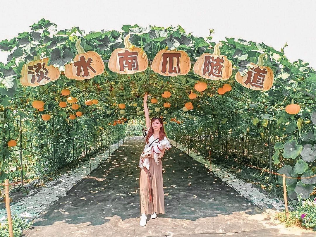 #期間限定 色彩繽紛的南瓜隧道🎃！綠色藤蔓勾勒出童話般場景，現場有現採栗子南瓜展售，拍照外也帶健康回去！