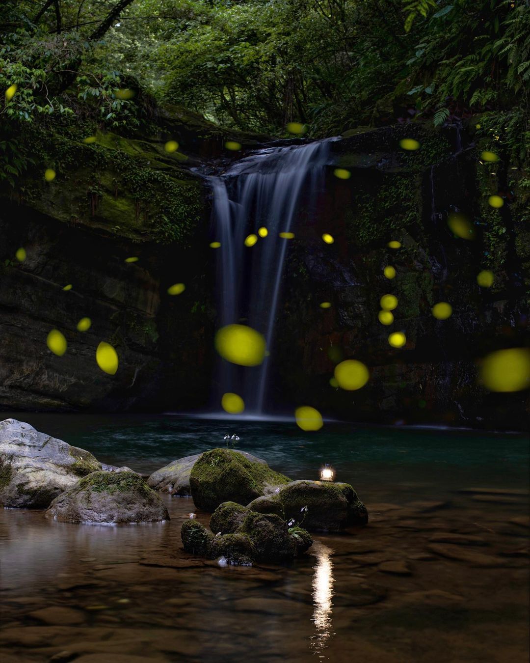 沿著望古車站鐵道旁，靜謐清幽的世外桃源！