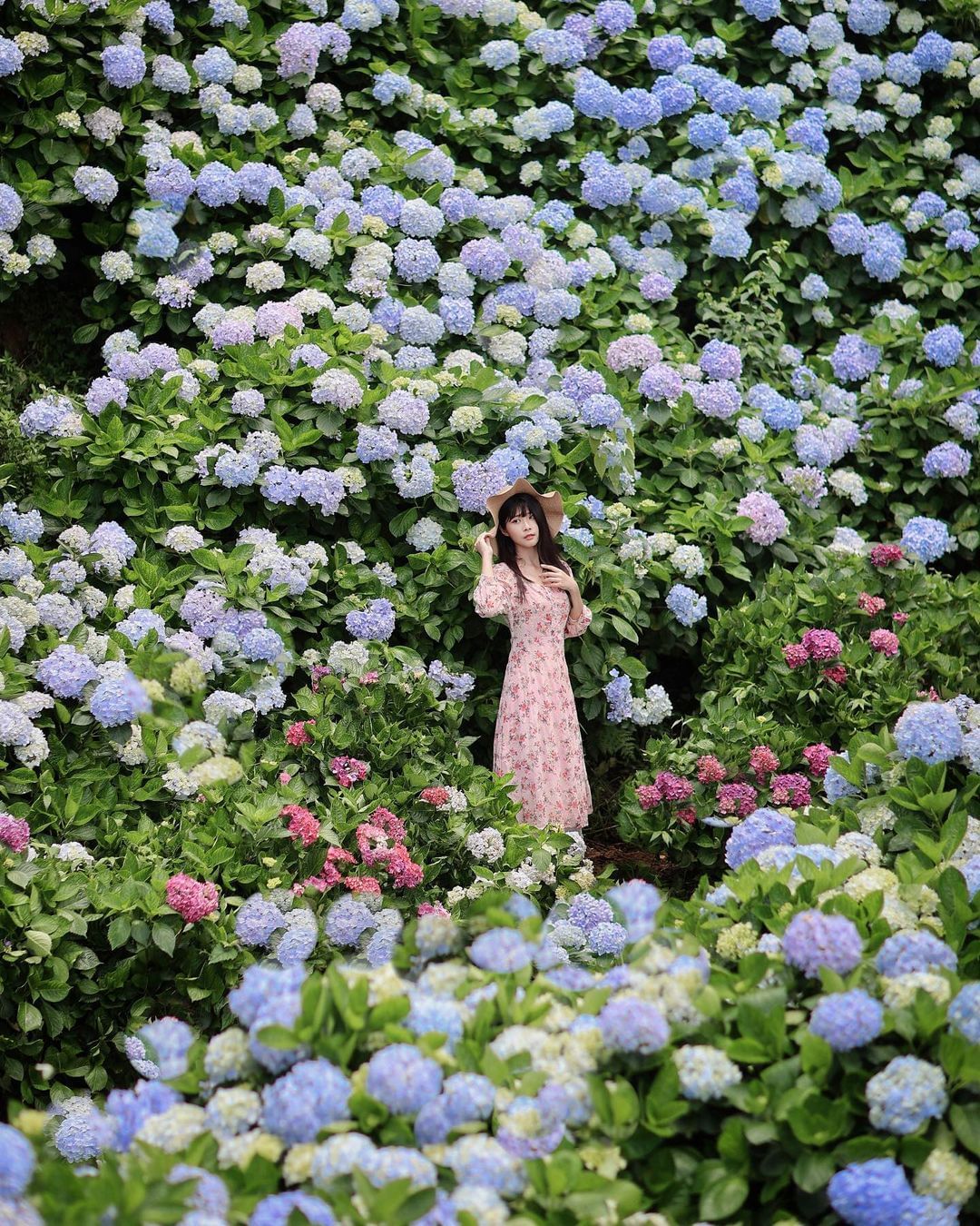 #初夏限定 來當花仙子