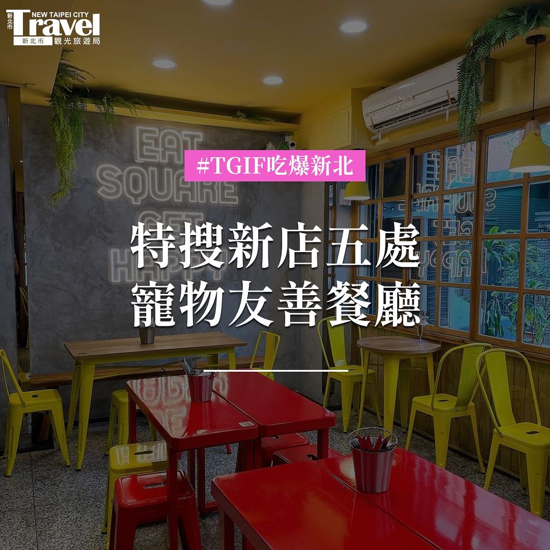 #新店寵物友善餐廳 🉐推薦收藏