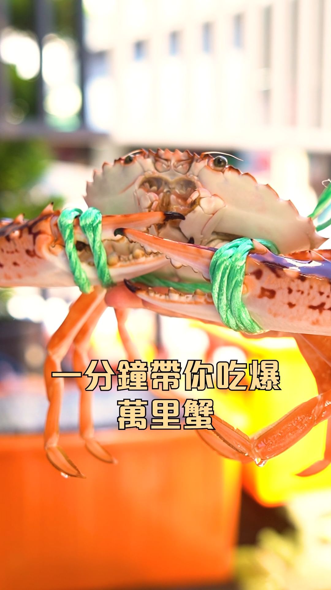 新北萬里蟹開跑🦀