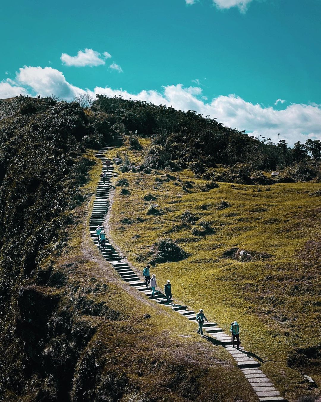東北角最美草原！遠眺太平洋和龜山島，世外桃源的清幽感～