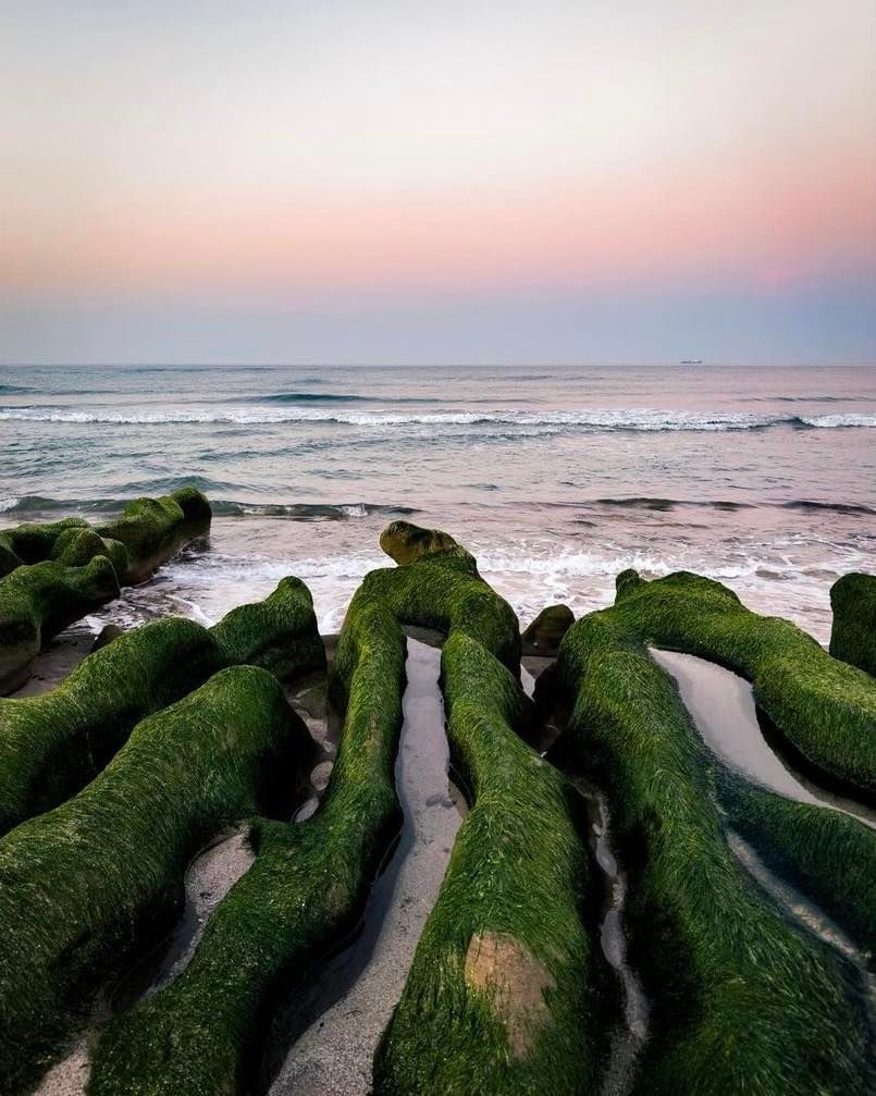 季節限定的石門綠地毯已悄悄開跑啦！趁春天打卡去～