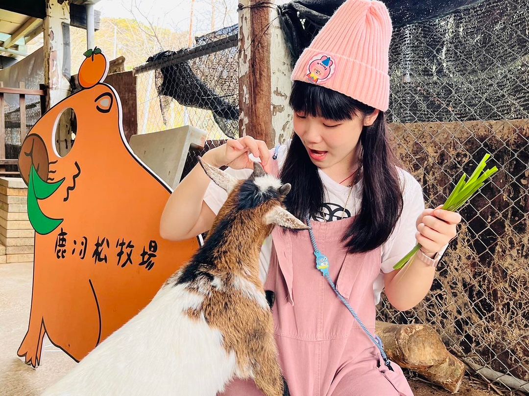 快來找可愛的小動物們拍照❗😍