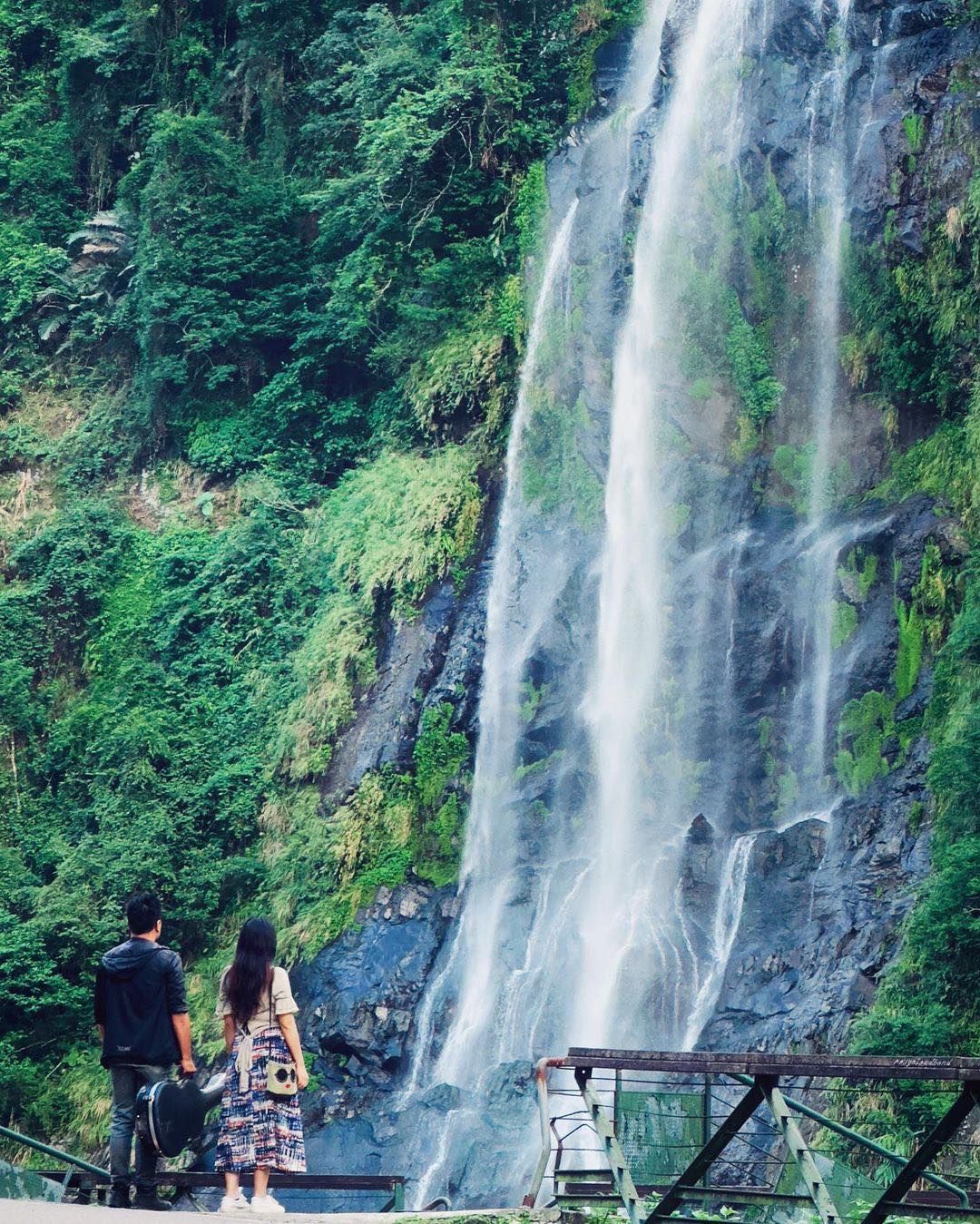 山谷裡的飛流直下🌊 這裡就是傳說中的「雲仙瀑布」👀 雨量豐沛時，瀑布會形成兩道飛泉，氣勢磅礡；春天則可以看到朵朵粉嫩櫻花點綴瀑布山林🌸