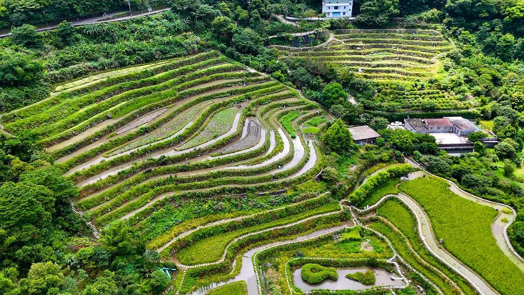 位於石門區尖山湖附近的嵩山梯田，是全臺唯一用陽明山火山岩砌成的百年石砌梯田，一塊塊石頭交錯出美麗的幾何圖案，讓這裡的田間小徑別具美感😍
