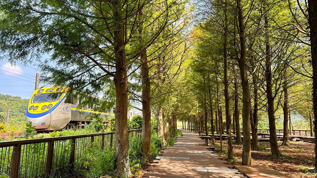 能捕捉火車呼嘯而過的落雨松秘境！🚊🍁🍂
