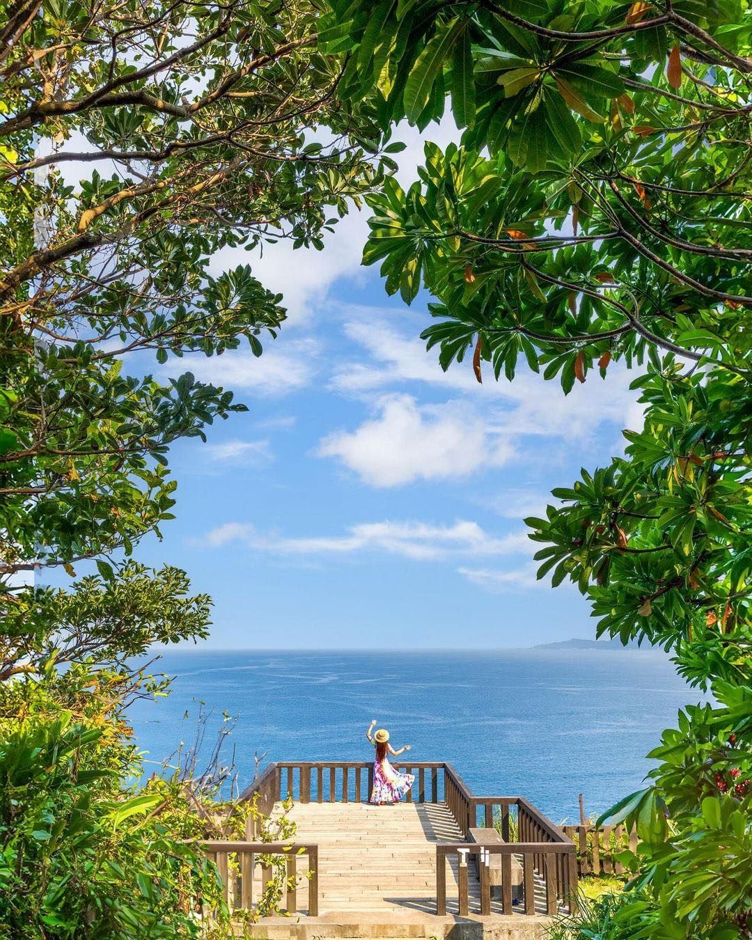 這是什麼無敵夢幻美景！