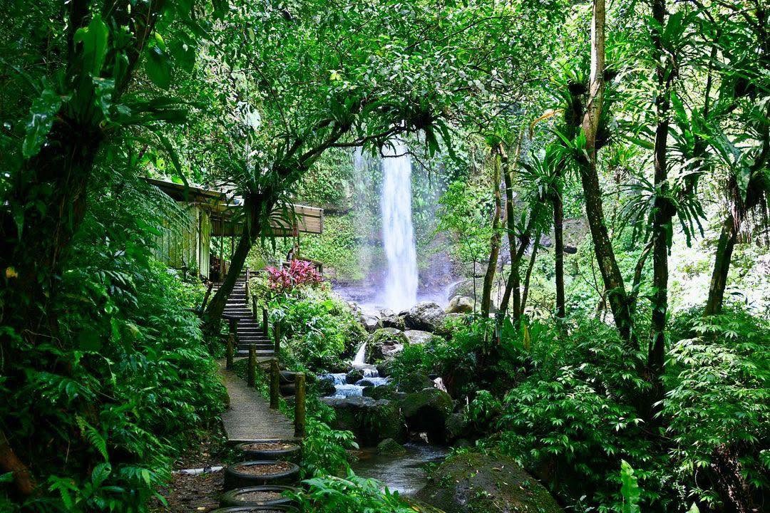 新手也能輕易抵達的瀑布秘境！✨✨