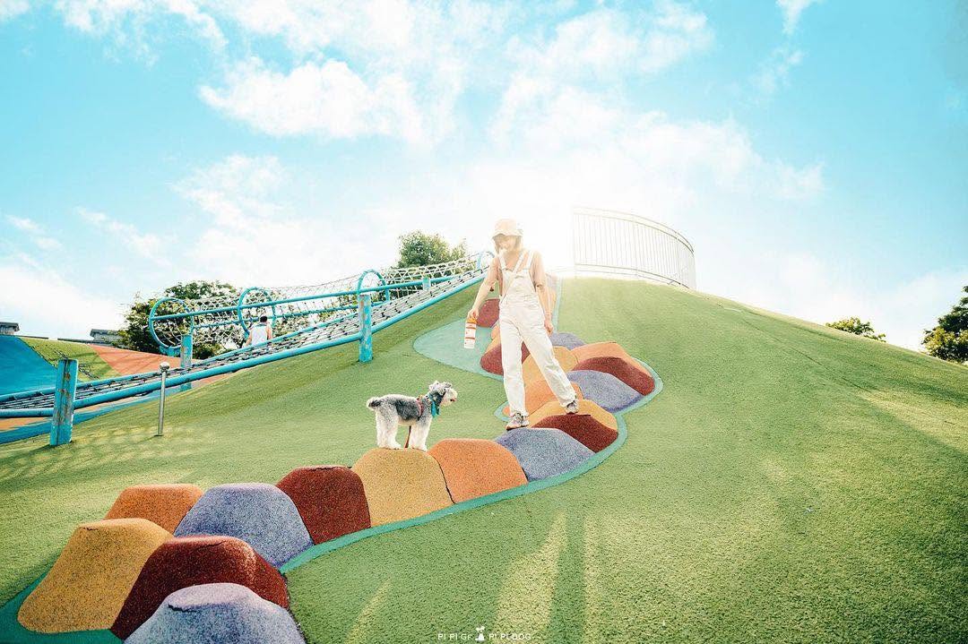 超長溜滑梯、滑草場、溜索，這裡是孩子們的夢幻遊樂場😎