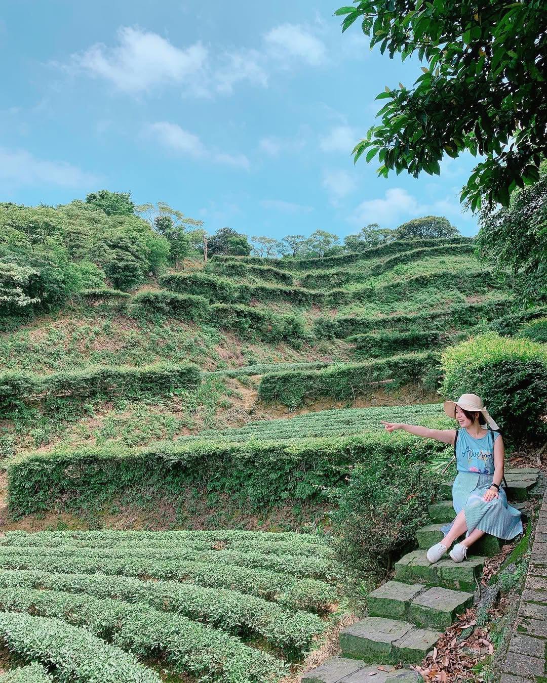 🍃走進茶山步道入口，映入眼簾的是步道左側的Ｔ型木柱，各懸掛著四個菱形「茶」字牌，讓人一目瞭然此步道的特產為「茶」🌱；入口右側下方則是一片綠意盎然，宛如梯田的茶園，整齊弧形排列成一幅美麗的圖畫。