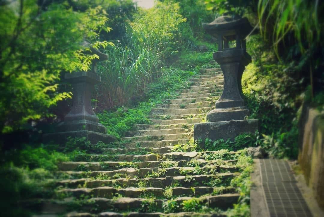 金瓜石神社遺址，又稱做「黃金神社」，是日治時期為保佑當地礦業所興建，建築雖沒有完整保留，但鳥居、殿柱、石燈籠都是旅人造訪必拍的打卡點~