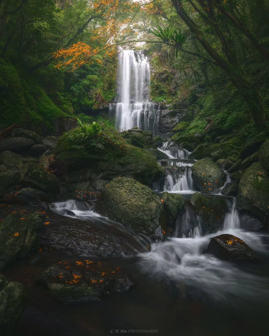 雲霧環繞，眼前瀑布傾瀉而下好壯觀✨