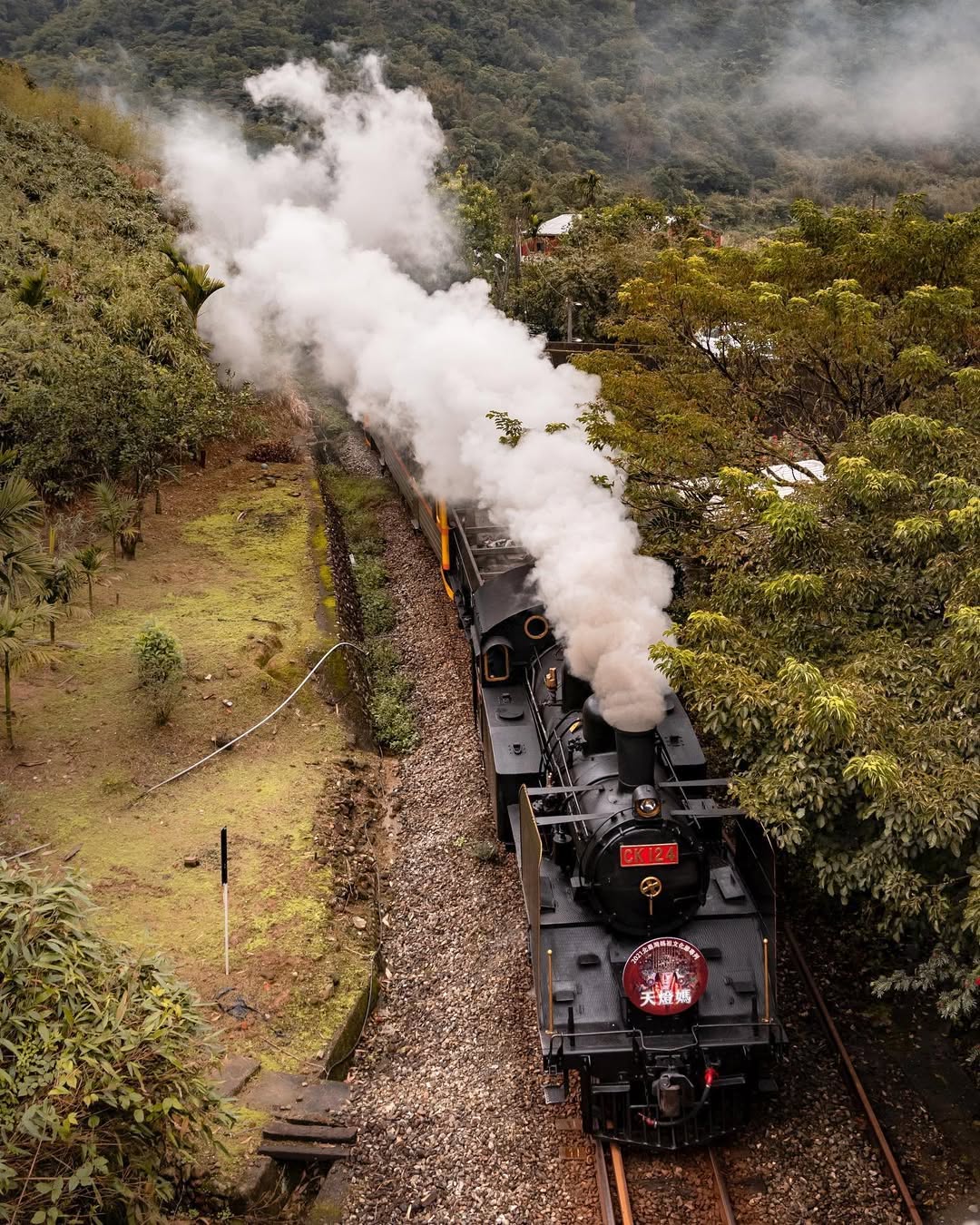 白煙裊裊、汽笛聲響🚂