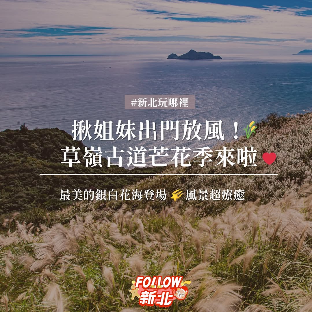 #秋天限定的夢幻仙境來啦🌾