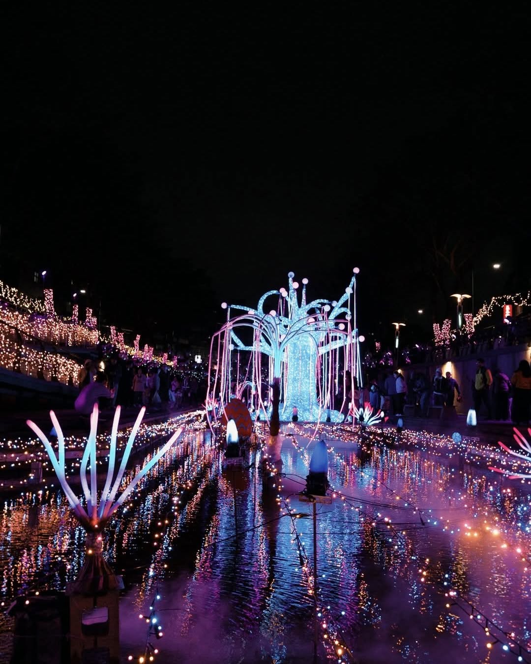 新北夜晚也能看見夢幻星河✨