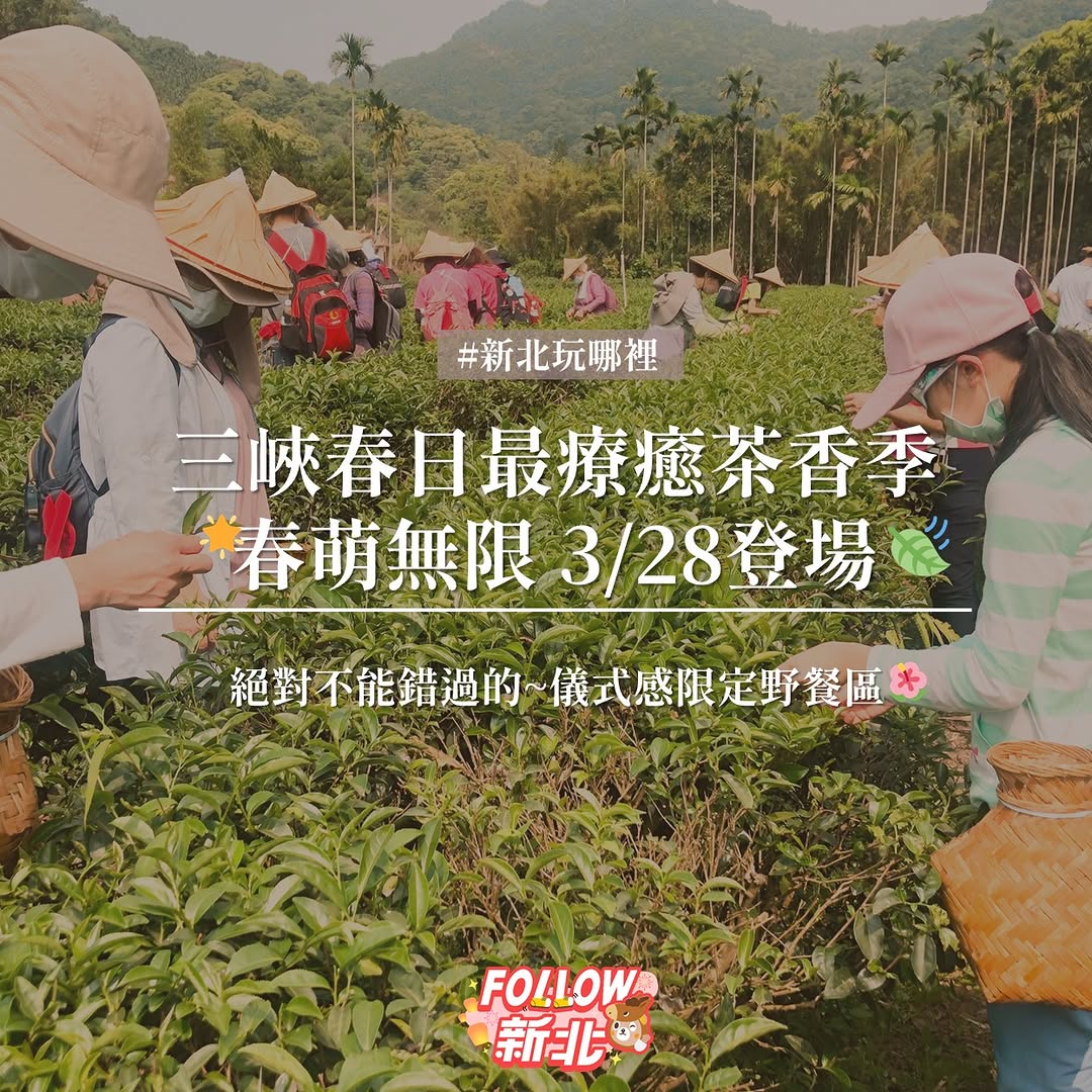 #三峽春日最療癒茶香季✨