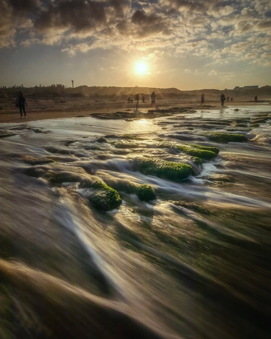 老梅綠石槽真的已經綠啦💚現在來剛剛好！
