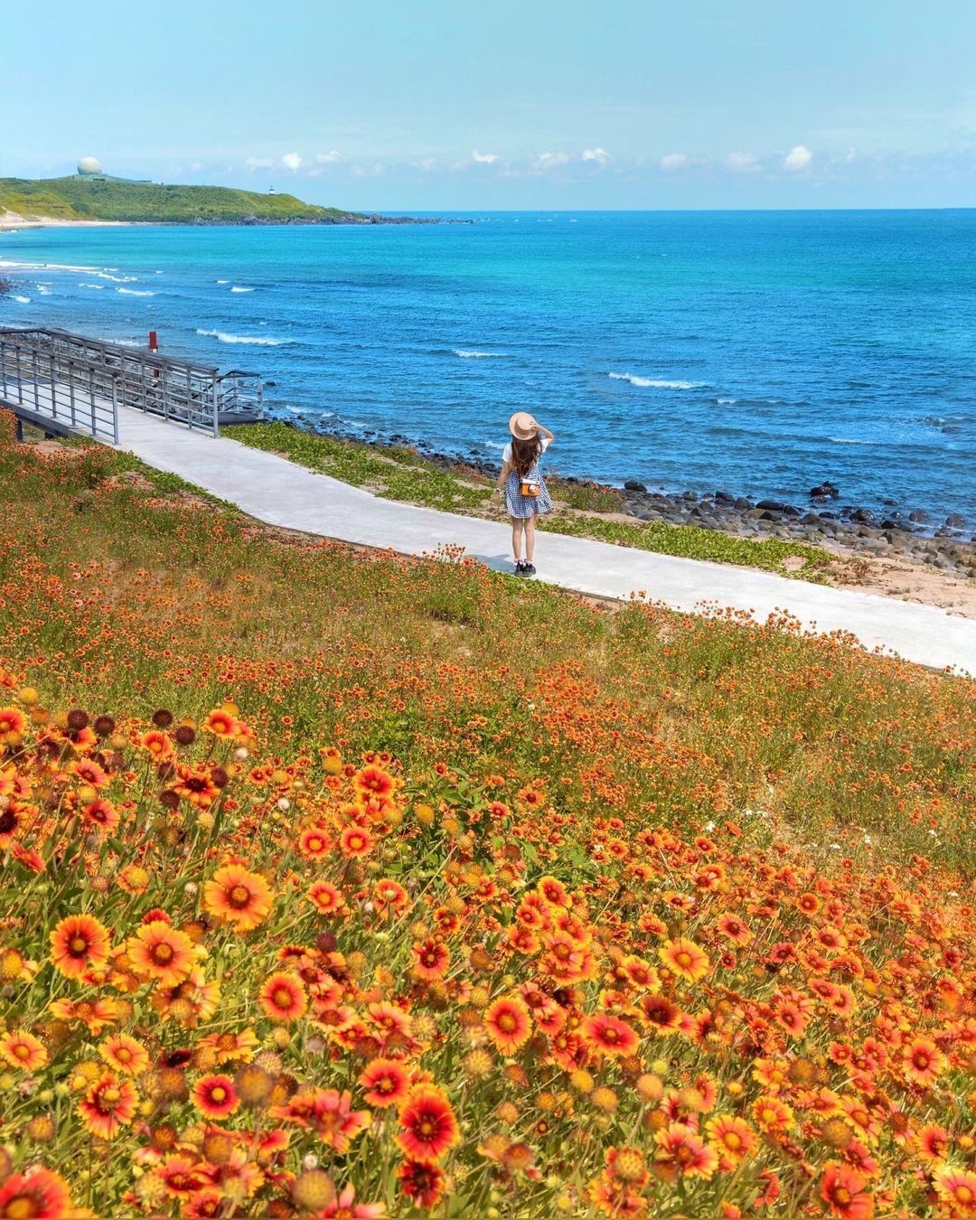 天人菊花海搭配濱海美景，滿地橘紅色花毯般很有異國感！搭配無遮蔽物的海景是花迷必拍的打卡點！