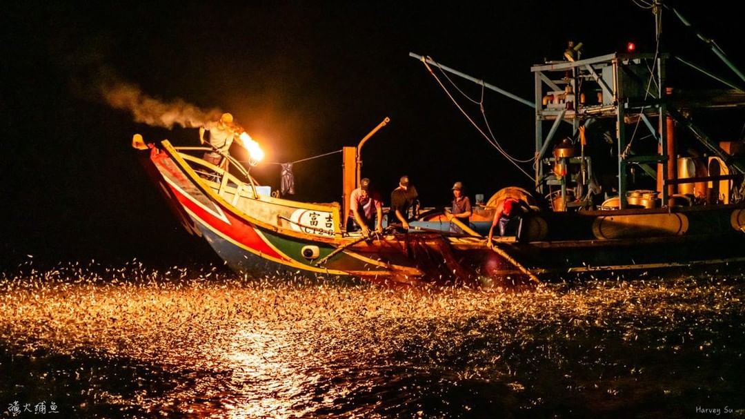 #蹦火仔 世界僅存的百年捕魚法，當魚群受光吸引跳出海面，是一片令人醉心於夜色間的金黃！