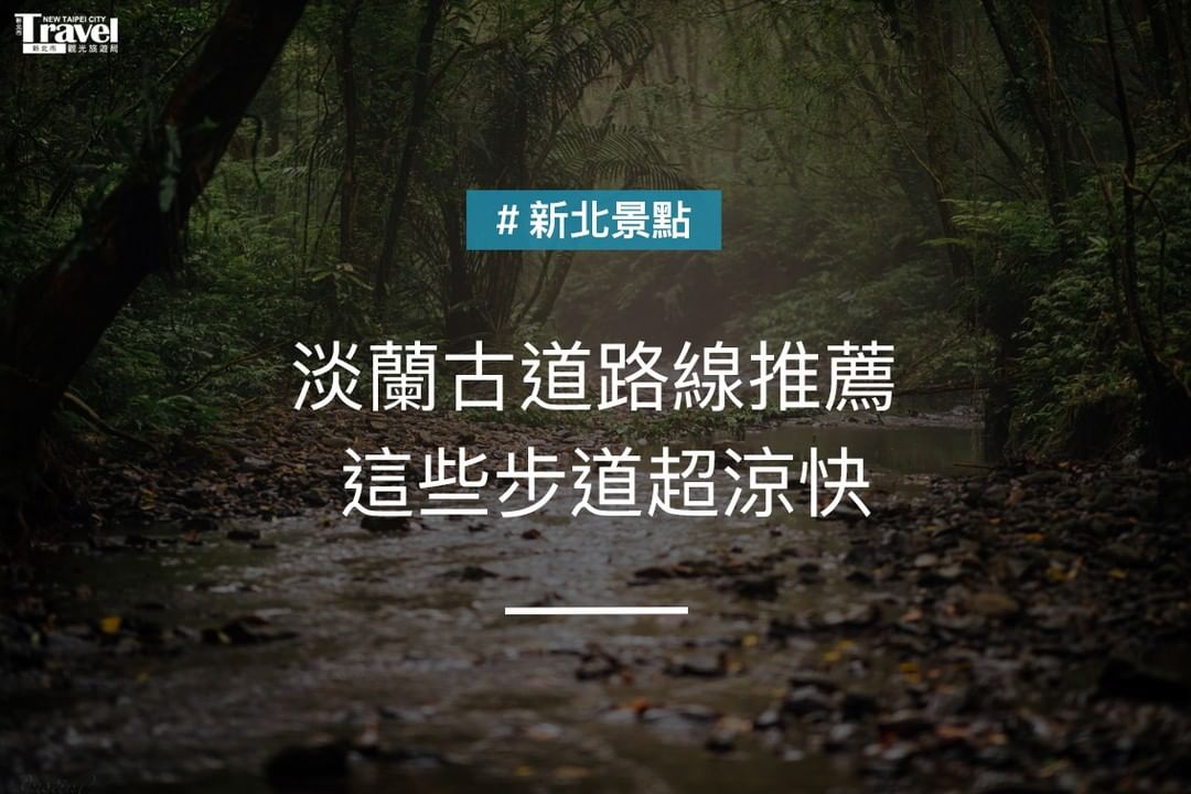 最近的天氣適合走進山林🌲 