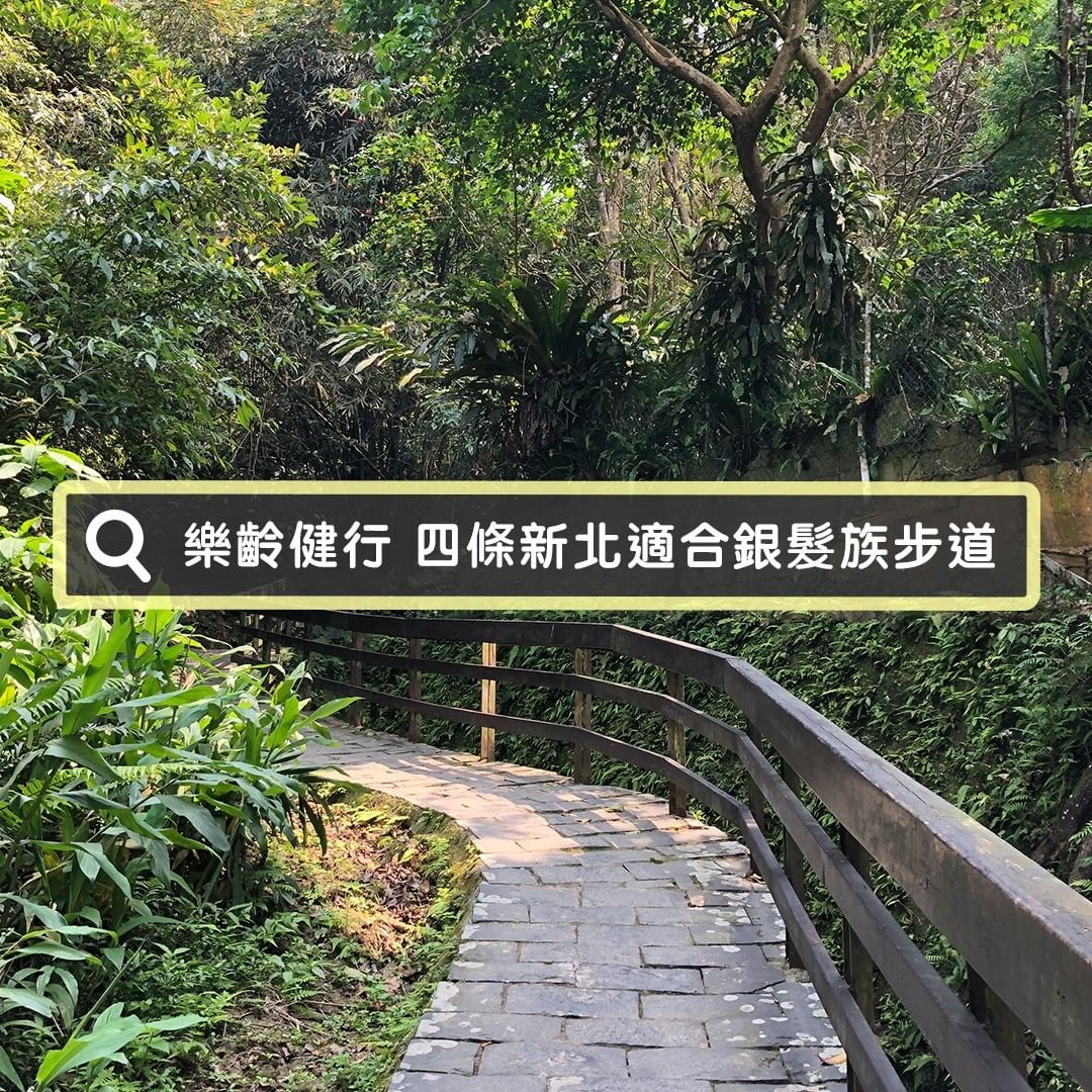 樂齡健行趣，四個適合銀髮族的步道，美景也能輕鬆賞 👴👵