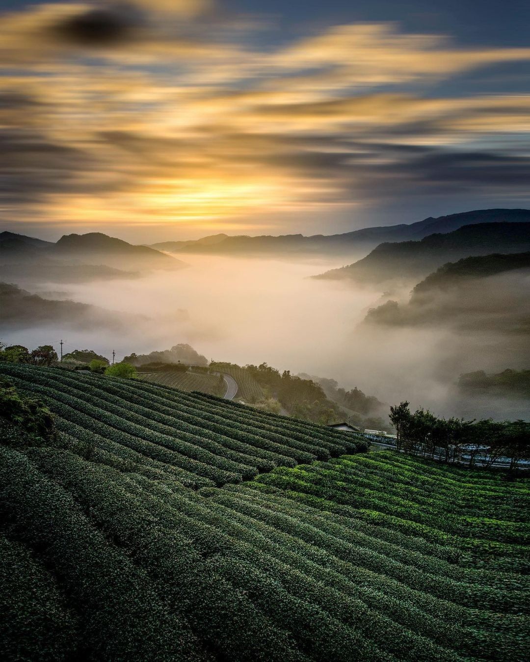 從南山寺景觀平台可以遠眺一片綠意，若運氣好碰上雲海、銀河、日出，更加美不勝收！