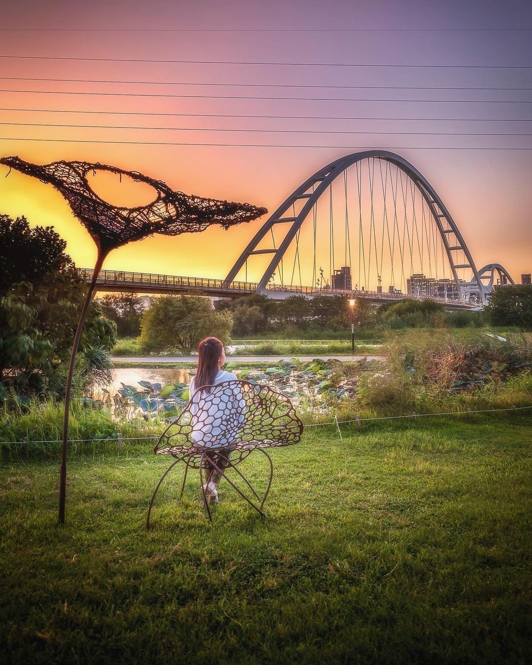 綠意盎然的河川吸引許多生物聚集，在特定的季節裡會有候鳥來此休憩，下次經過新月橋時，好好欣賞這片都市的生態濕地吧～